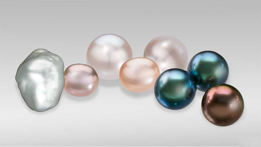 cultured-freshwater-pearls